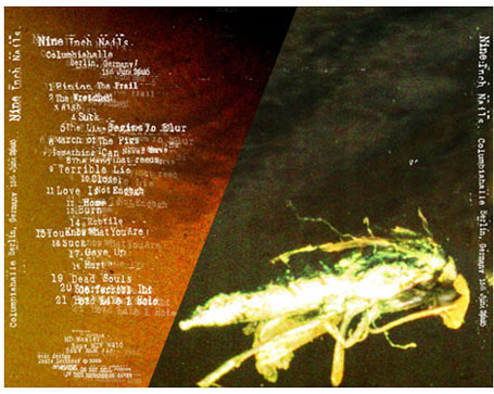 jamie lochhead folio