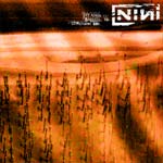 nin